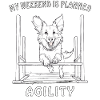DOG SPORT AGILITY