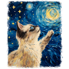 Birman Cat Starry Night Painting