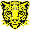 Tête de guépard