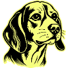Beagle Dog Head