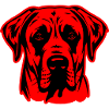 Kangal Dog Head