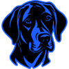 Labrador Dog Head