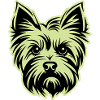 Yorkshire Terrier Dog Head