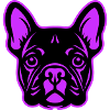 French Bulldog Dog Head