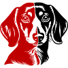 Dachshund Hund Kopf Dackel