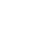 Planet Earth Shield