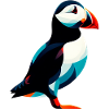 Puffin