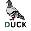 Duck Alert