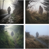 Bigfoot in Ireland