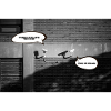 shutupfrank001