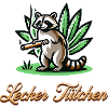 Waschbär Geschenkidee
