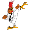Coq et karaté