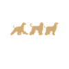 Afghan Hound Gifts