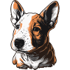 Bull Terrier Puppy