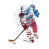 Sport hockey player
