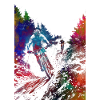 Mountain bikers sport art