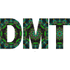 DMT Psychedelic Trip Ayahuasca