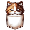 Pocket Whiskers: Cat Cuteness Everywhere!