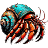 Hermit crab