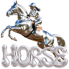Show Jumper Chrome 1