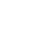 Springer anglais Springer anglais Springer anglais