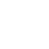 Vizsla Vizsla Vizsla