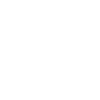 Chihuahua Chihuahua Chihuahua