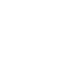 Samoyed Samoyed Samoyed