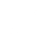 Bichon Frise