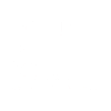 Papillon Papillon Papillon
