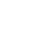 Golden Retriever Dog
