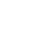 Swan Swans