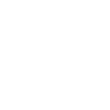 Swan Swans