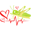 Grasshopper
