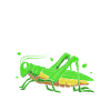 Grasshopper grasshopper