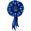 Blue Ribbon Loser