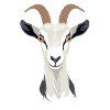 Goat
