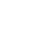 Flying Eagle