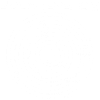 Carte du système solaire (blanc)
