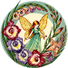 Gladiolus Fairy