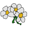 Gänseblümchen abstrakte Skizze