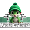 Animal vert