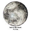 look at the moon, it's free