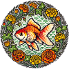 Fancy Oranda Goldfish