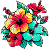 Fleurs d’hibiscus