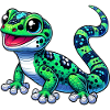Gecko