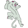panthers 02