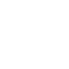 Crocodile Alligator