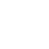 Crocodile Alligator
