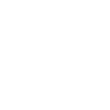 Crocodile Alligator